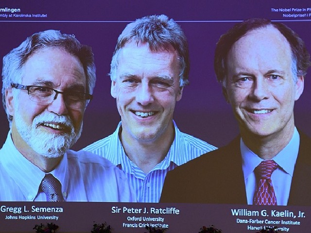 Imagem da matéria 'Prêmio Nobel de Medicina concedido a pesquisadores de hipóxia'
